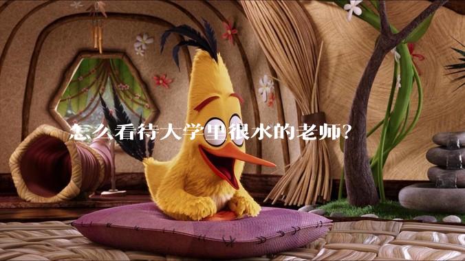 怎么看待大学里很水的老师？
