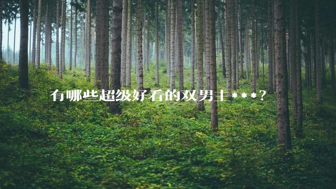 有哪些超级好看的双男主***？