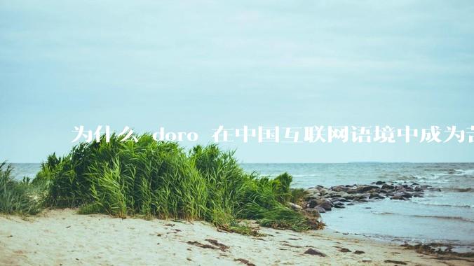 为什么 doro 在中国互联网语境中成为苦情角色了？
