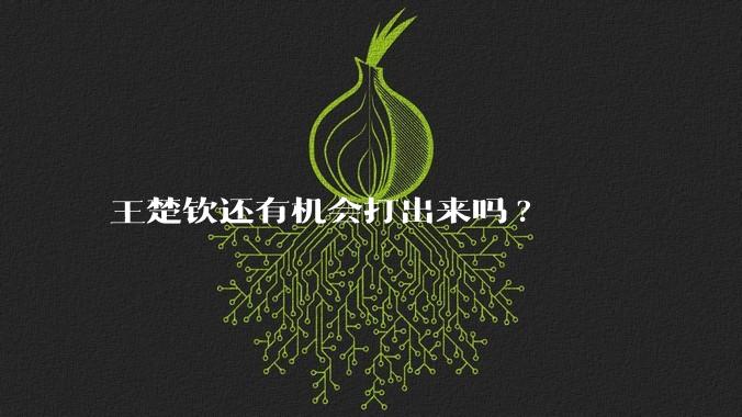 王楚钦还有机会打出来吗?