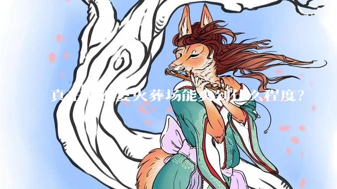 真正的追妻火葬场能爽到什么程度？