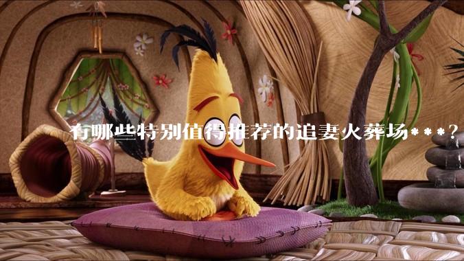 有哪些特别值得推荐的追妻火葬场***？