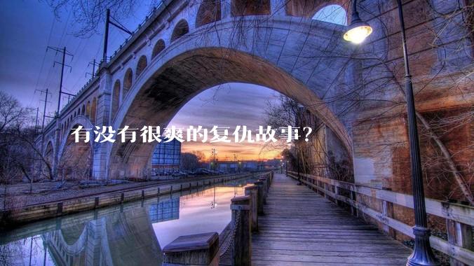 有没有很爽的复仇故事？