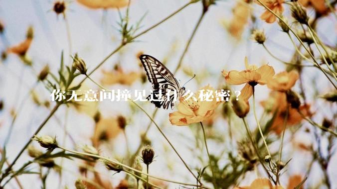 你无意间撞见过什么秘密?