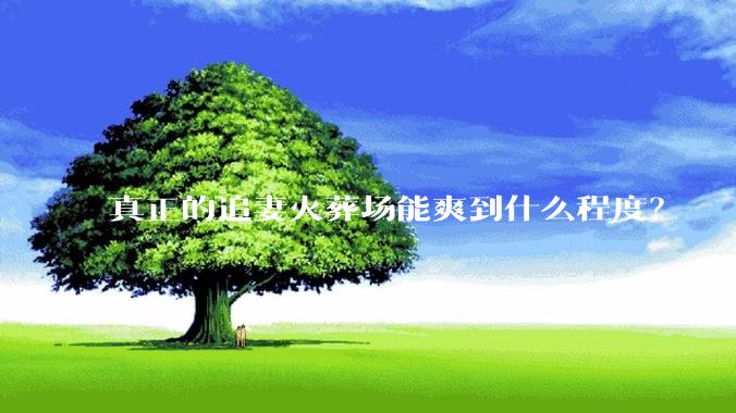 真正的追妻火葬场能爽到什么程度？