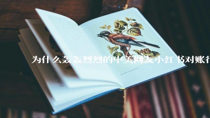 为什么轰轰烈烈的中美网友小红书对账行动戛然而止了？